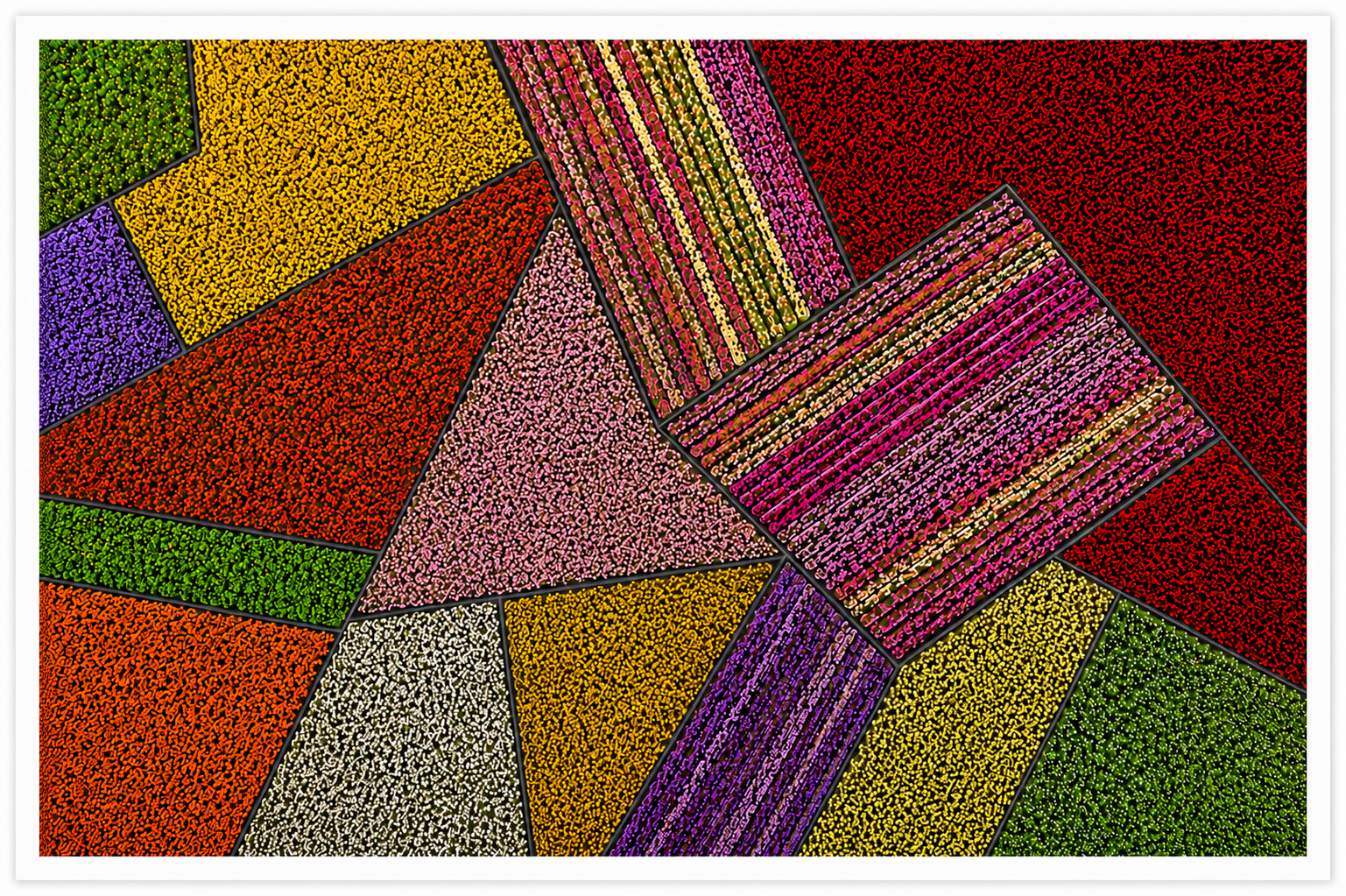 e1fa6108-139b-425c-9ccc-b3844a261807