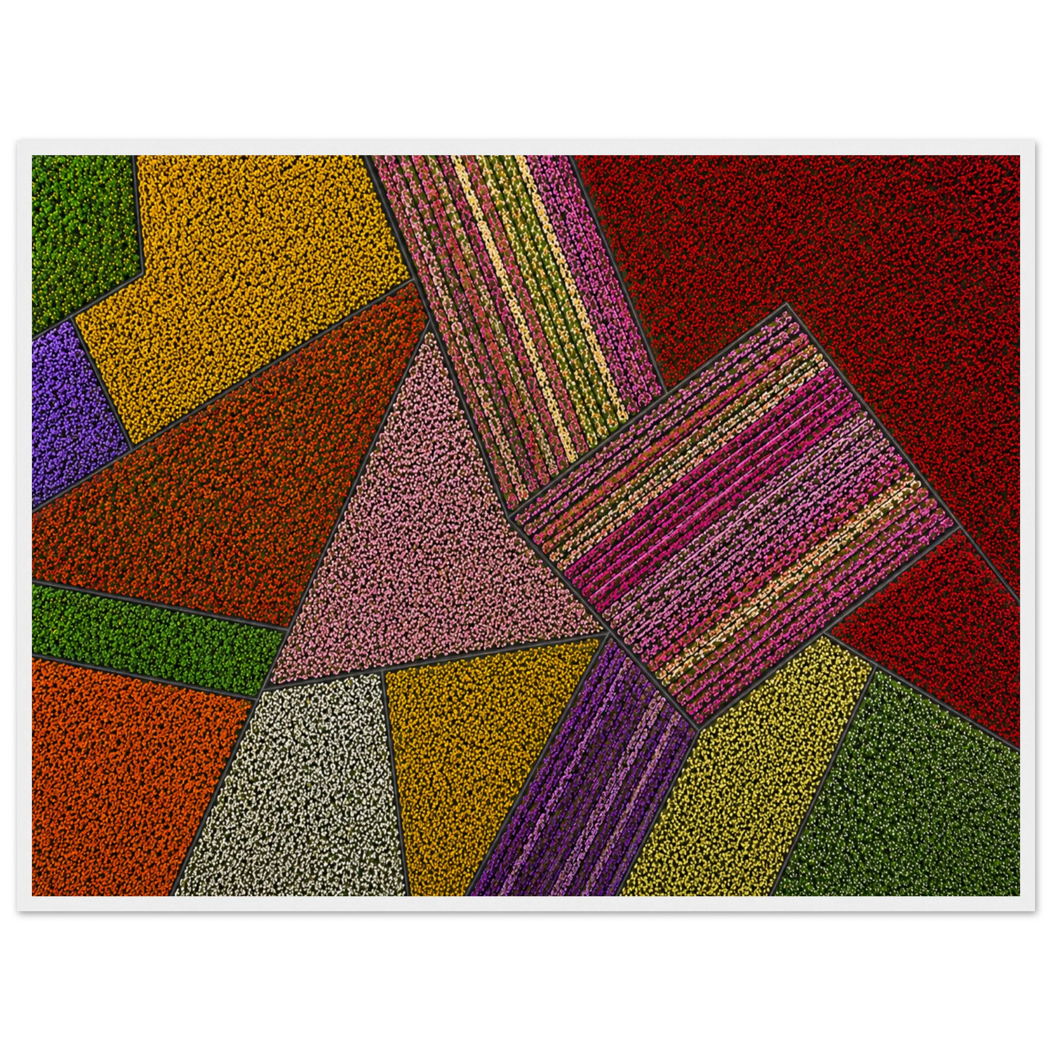 57eb46da-60c4-46dd-bfd4-ed479e8f859c