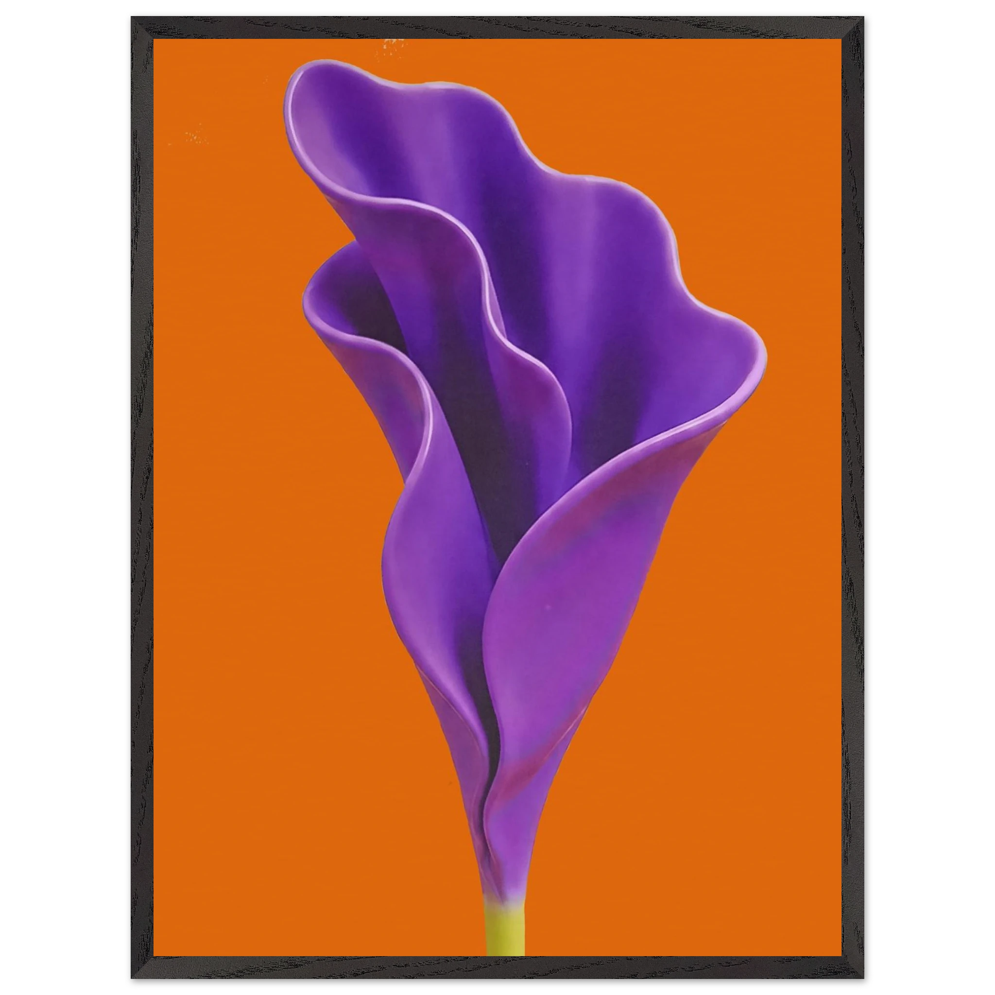 5d623eb1-0523-4fdb-be18-46d037287fae