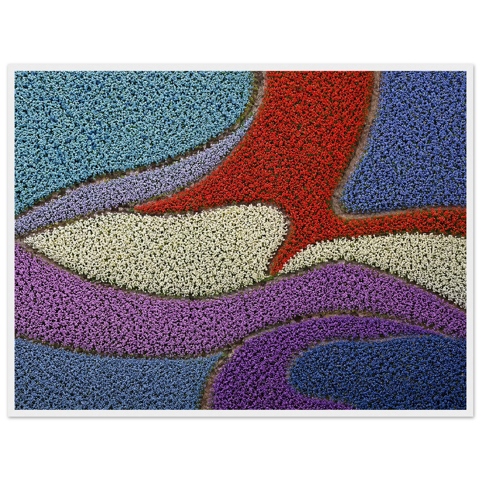 a1ebf788-c4d0-482a-84c1-f990f4cb3346