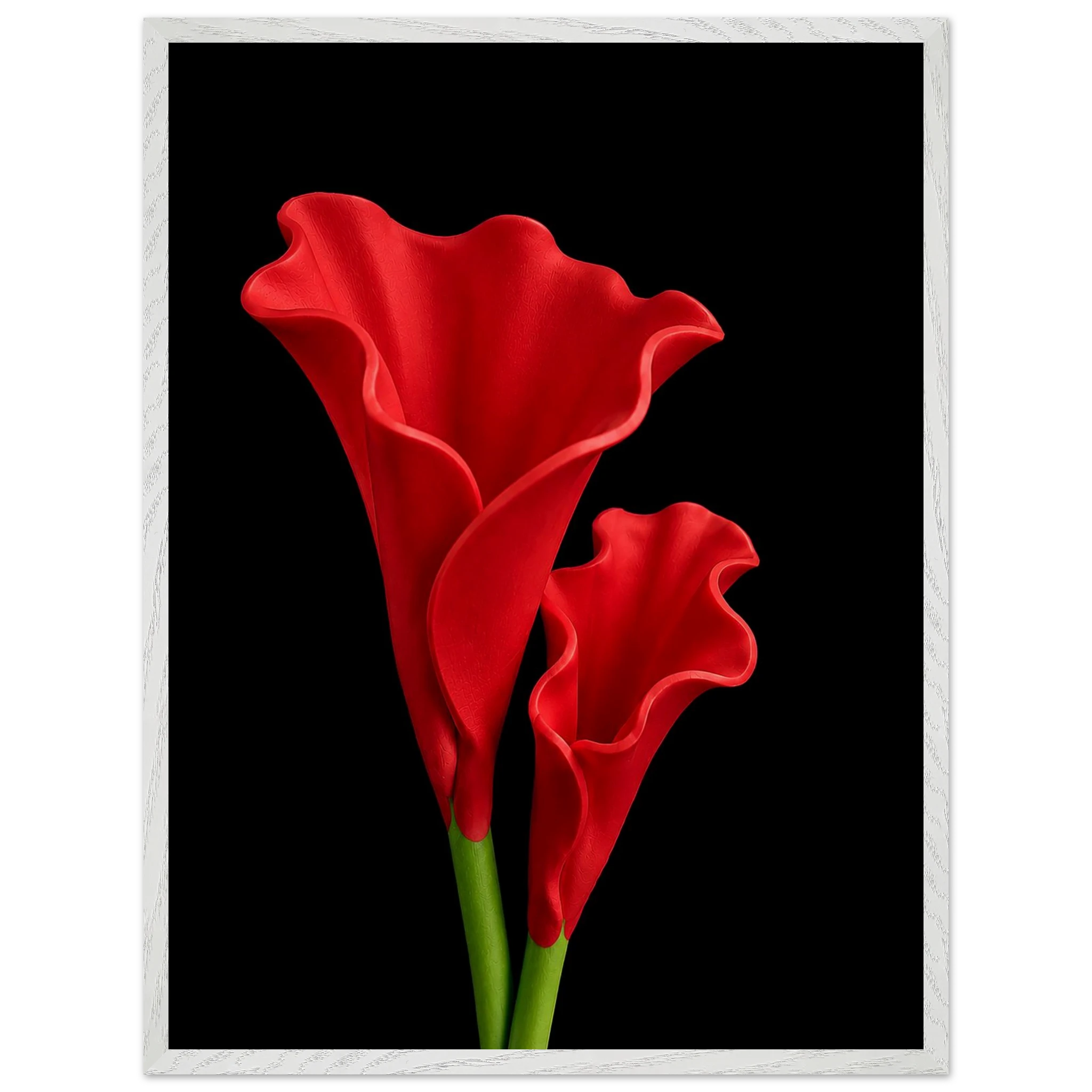 ae2f2dfc-d144-4155-9d21-37e69bc1d209