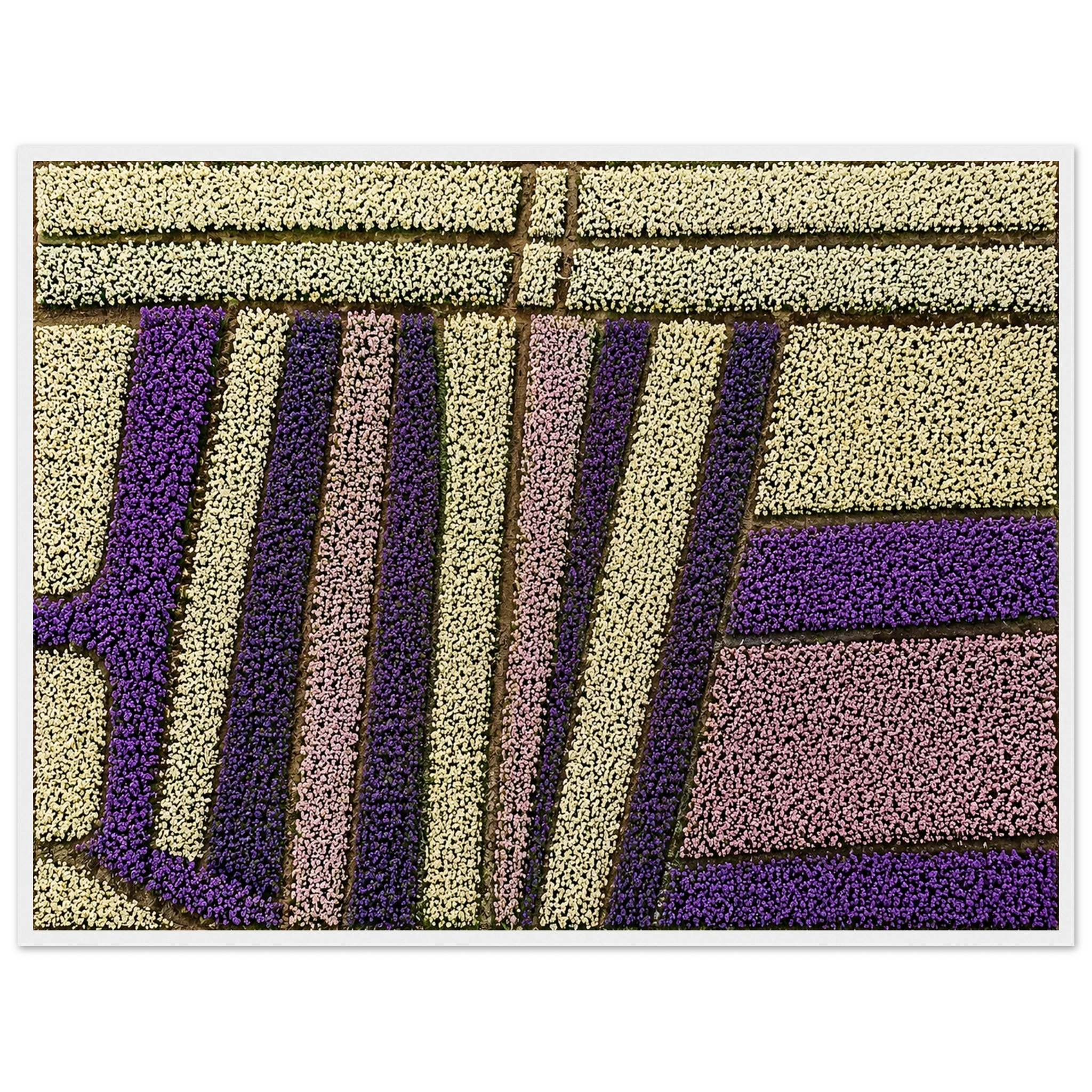 eb195587-1050-44a1-b0e3-735038ad0b49
